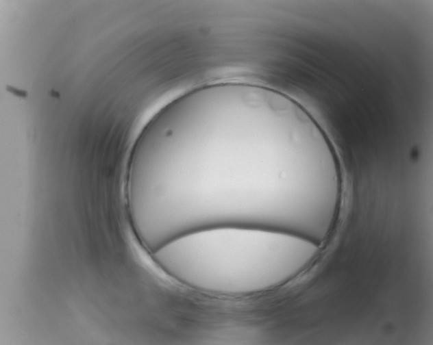 X0000114400957200910161053