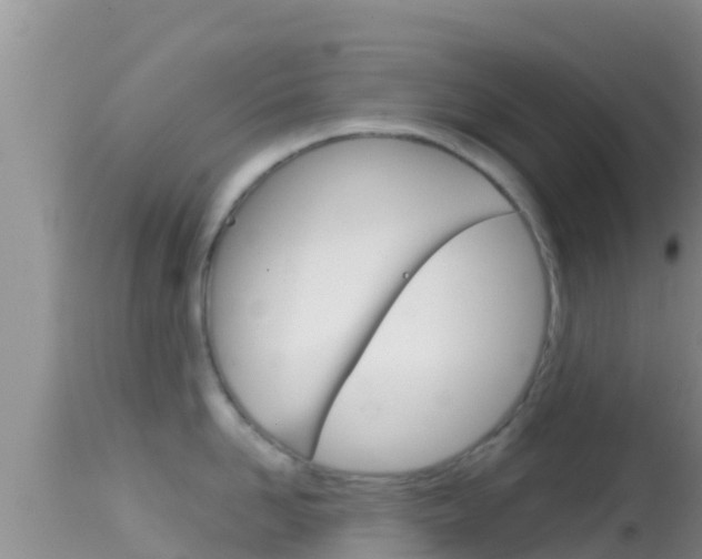 X0000114400958200910161053