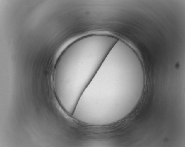 X0000114400959200910161053
