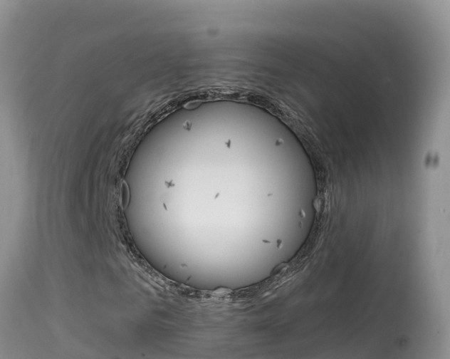 X0000114400961200910161052