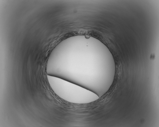X0000114400962200910161052