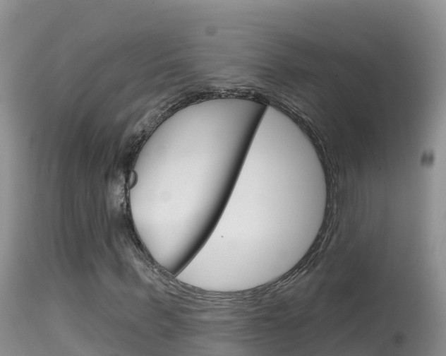X0000114400963200910161052