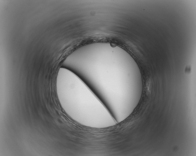 X0000114400964200910161052