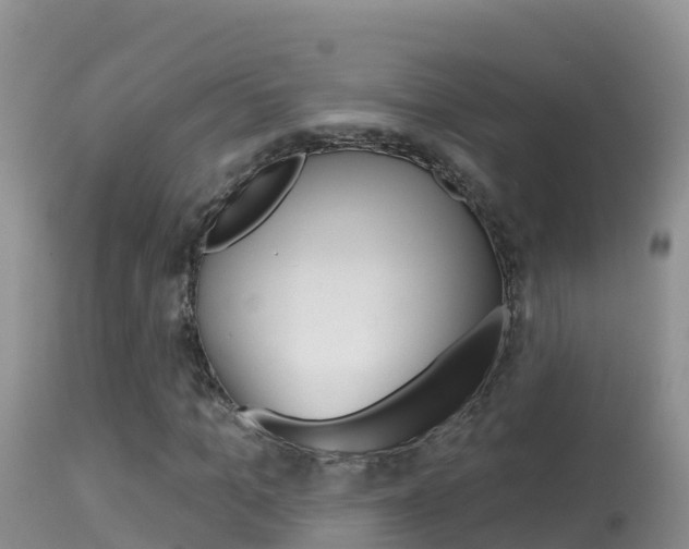 X0000114400965200910161052