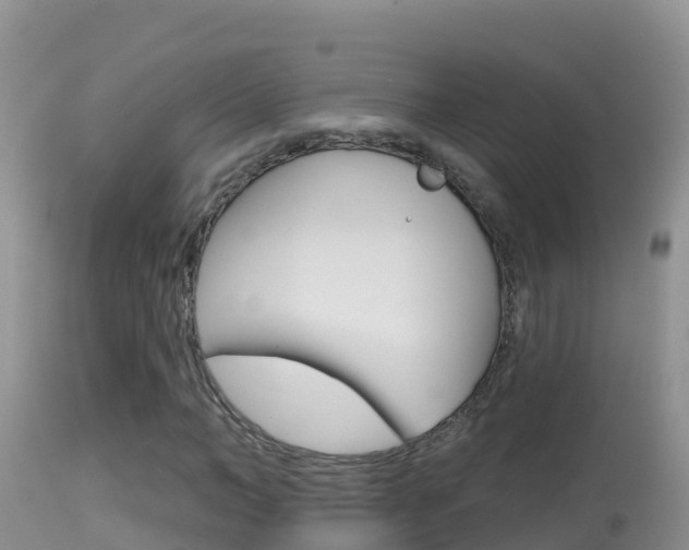X0000114400966200910161052