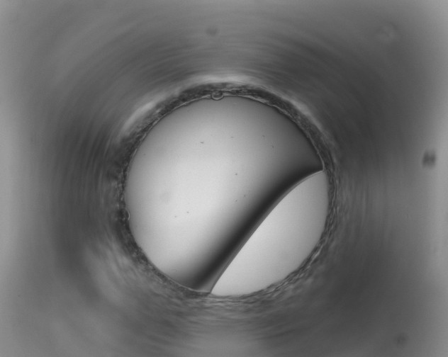 X0000114400967200910161052
