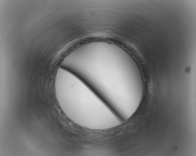 X0000114400968200910161052