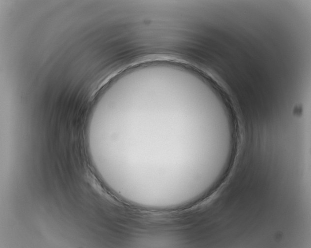 X0000114400969200910161052