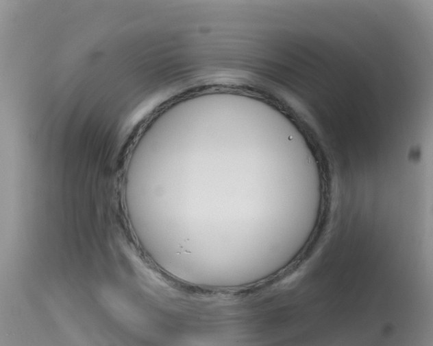 X0000114400970200910161052