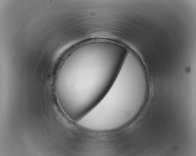 X0000114400971200910161052