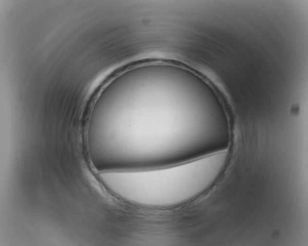 X0000114400972200910161052