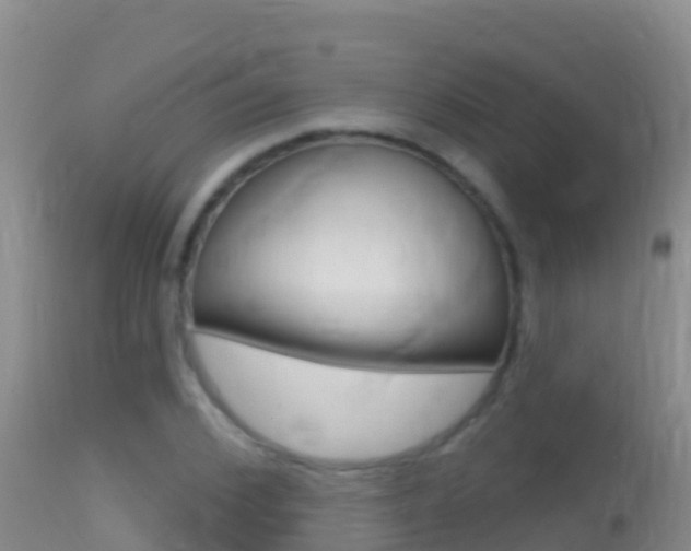 X0000114400976200910161052