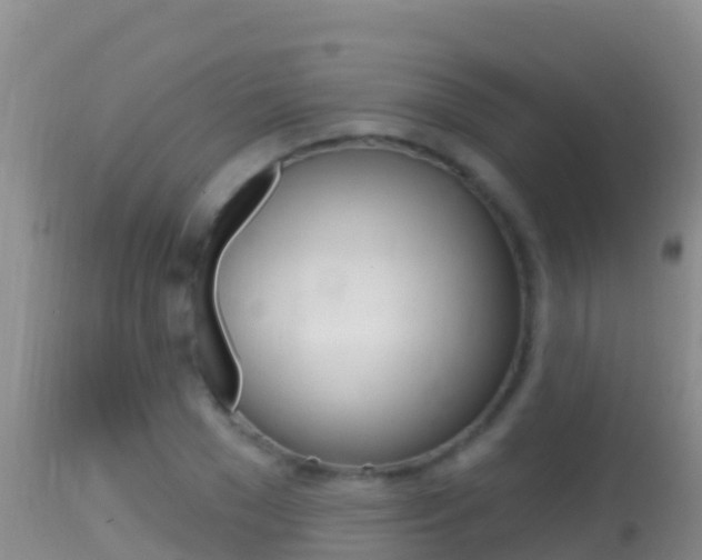 X0000114400977200910161052