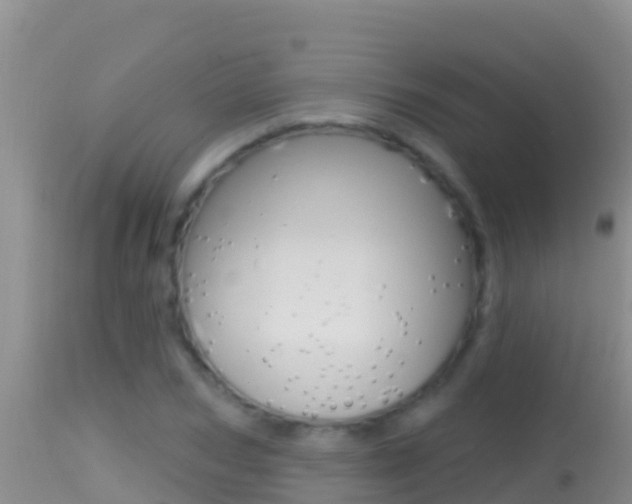 X0000114400978200910161052