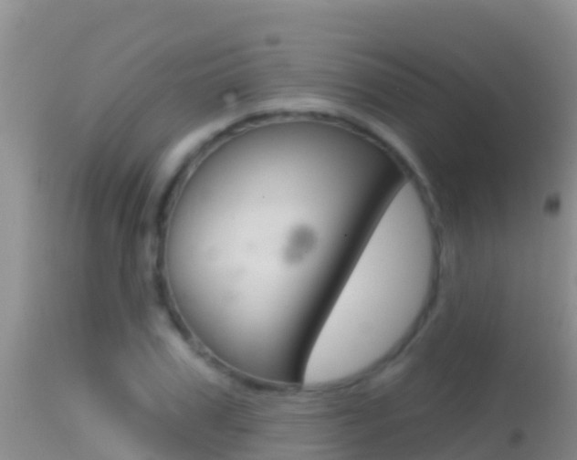 X0000114400979200910161052