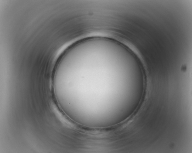 X0000114400980200910161052