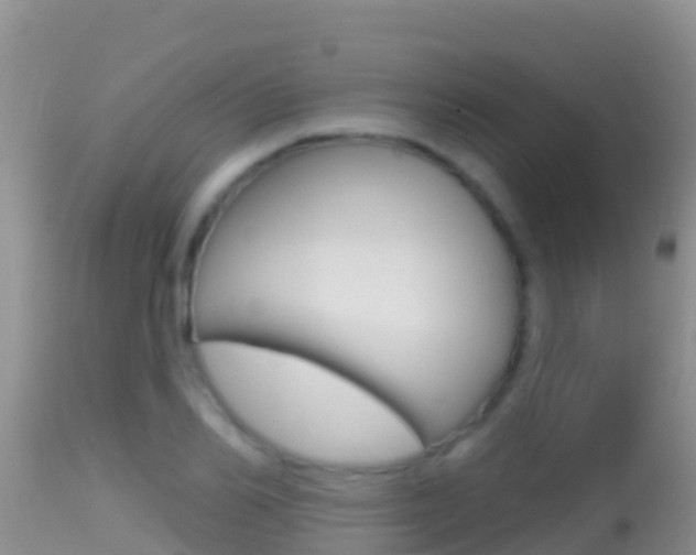X0000114400982200910161052