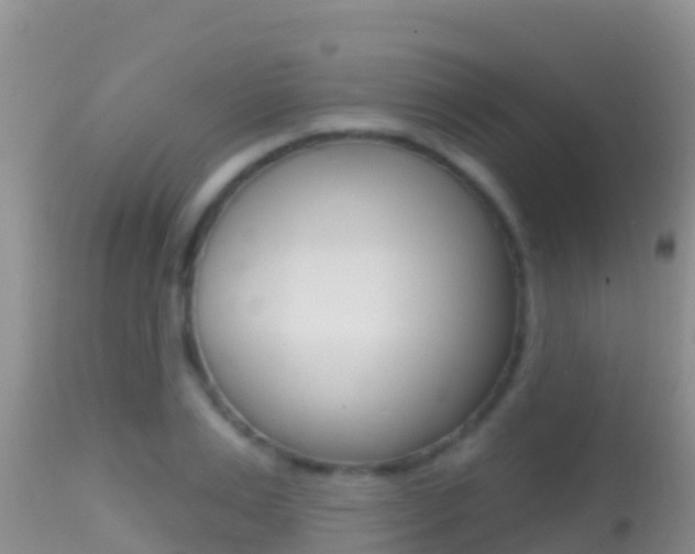X0000114400983200910161052