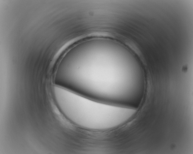 X0000114400984200910161052