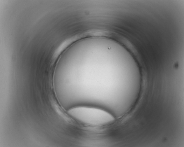 X0000114400986200910161052