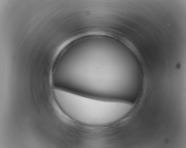 X0000114400988200910161052