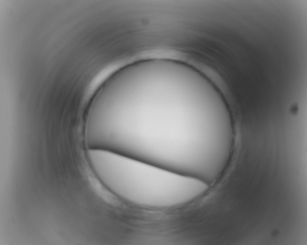 X0000114400990200910161052