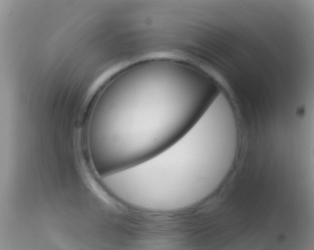 X0000114400991200910161052