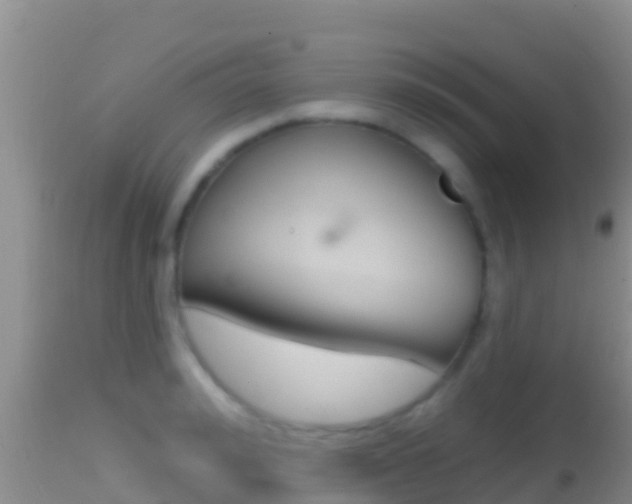 X0000114400992200910161052