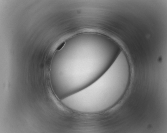 X0000114400993200910161052
