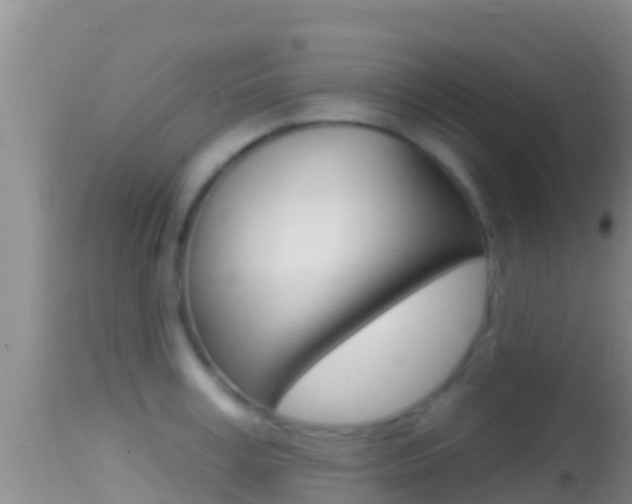 X0000114400995200910161052