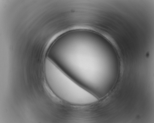 X0000114400996200910161051