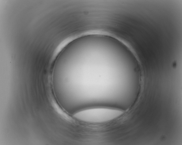 X0000114400998200910161051