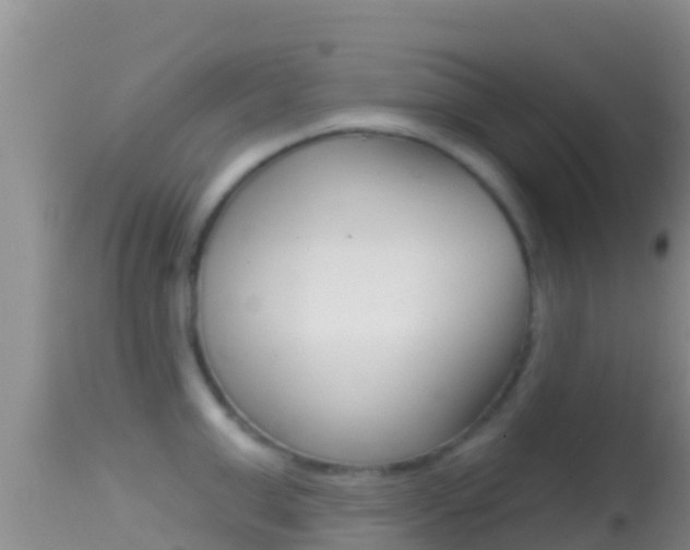 X0000114400999200910161051