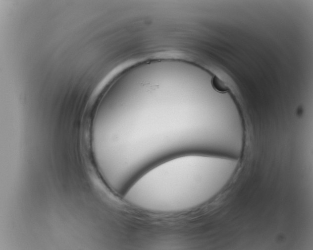 X0000114401000200910161051