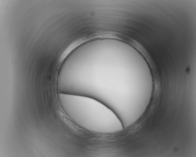 X0000114401002200910161051