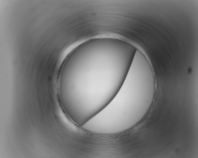 X0000114401003200910161051