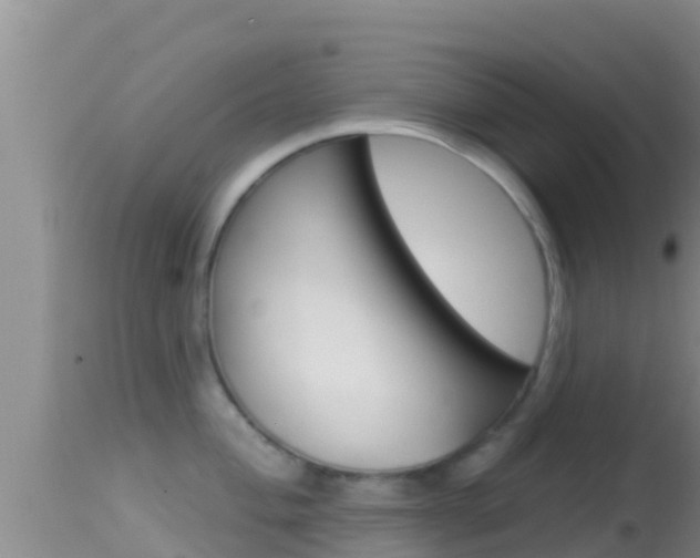 X0000114401004200910161051