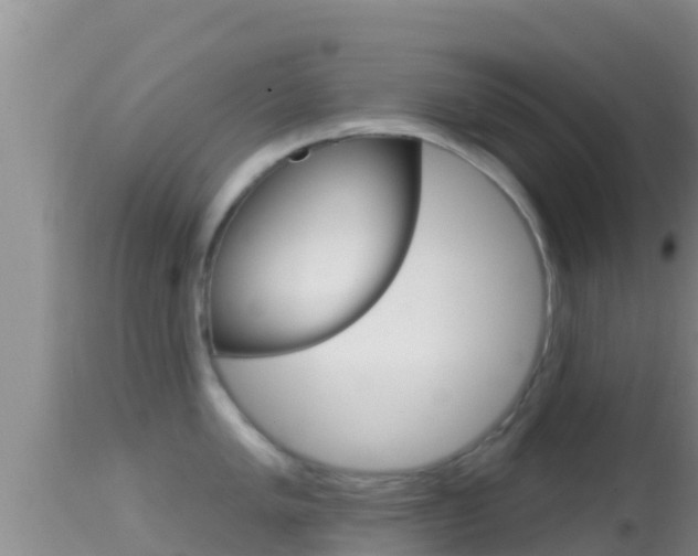 X0000114401005200910161051