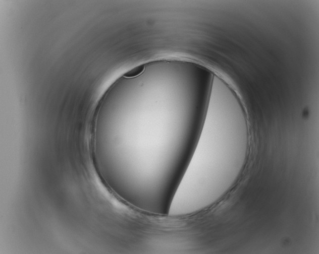 X0000114401007200910161051