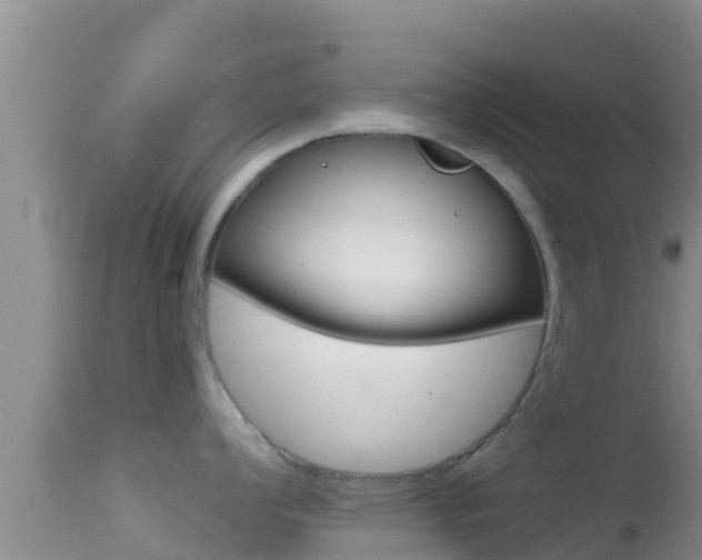 X0000114401008200910161051