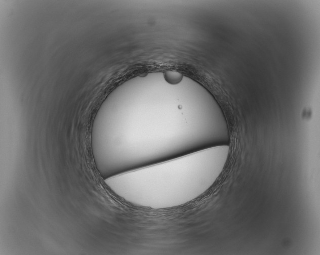 X0000114401009200910161050