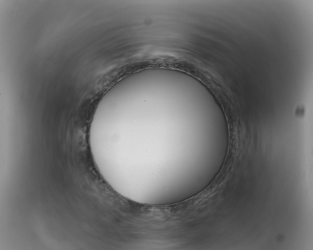 X0000114401013200910161050