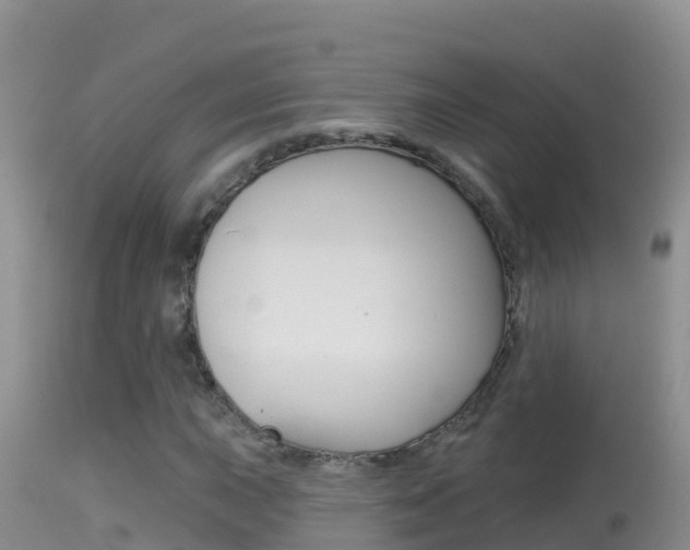 X0000114401015200910161050