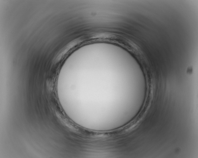 X0000114401017200910161050