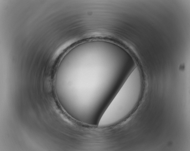 X0000114401018200910161050