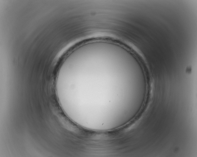 X0000114401021200910161050