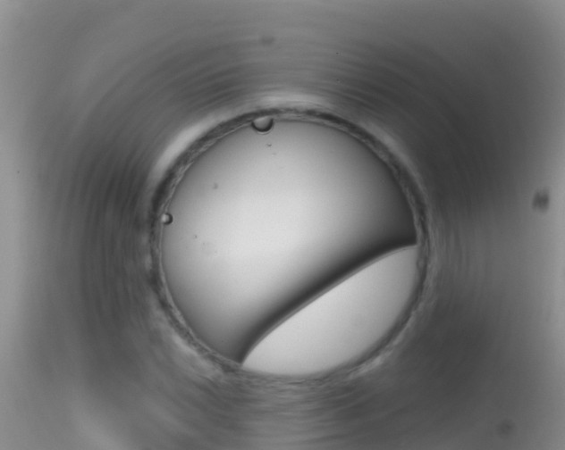 X0000114401022200910161051