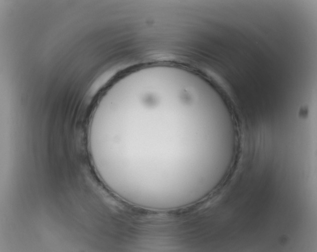 X0000114401023200910161051