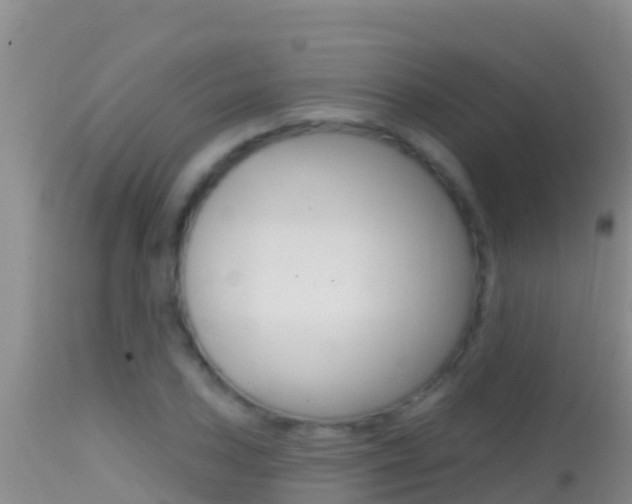 X0000114401027200910161051