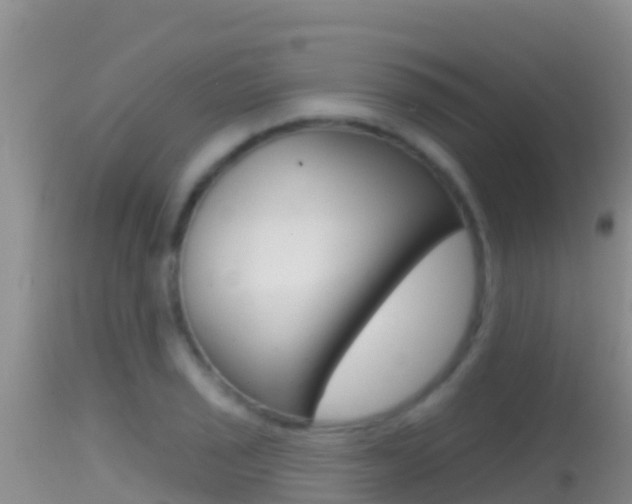 X0000114401029200910161051